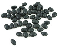 All About Black Beans