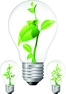 Different Types Of Internal Grow Bulbs Different Types Of Internal Grow Bulbs