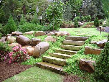 Backyard Landscaping